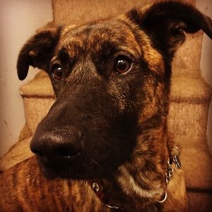 Meet your Posher, Kevin